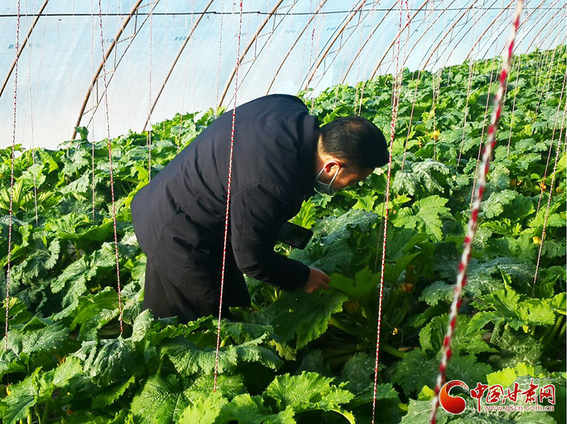 敦煌市肅州鎮：技術人員“一線”解民憂