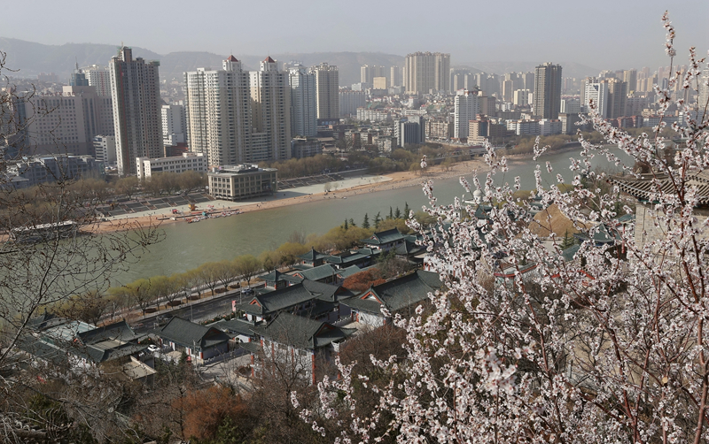 【春暖花開(kāi)·蘭州】白塔層巒覓花海 一場(chǎng)春雨一城春 