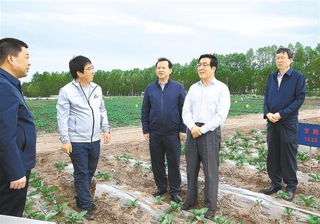 林鐸在天?？h調研指導脫貧攻堅工作時強調  拉開架勢持續用力構建扶貧產業體系 多措并舉固強補弱鞏固提升脫貧成果