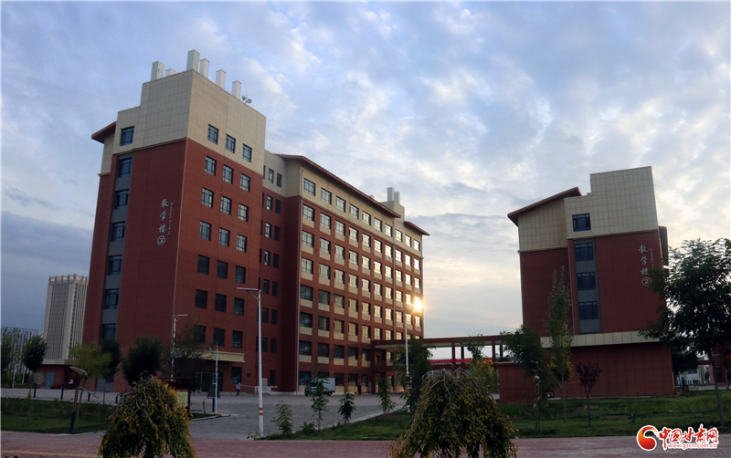 【十年巨變 看新區成就】職教新城:專業技術人才的搖籃