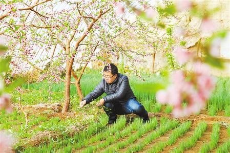 甘肅：時(shí)令催人耕種忙，不誤田間一季春