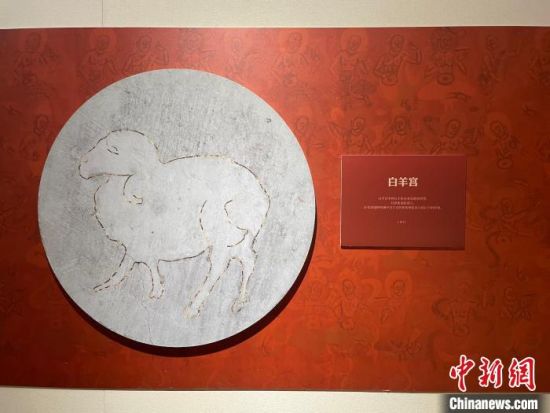 圖為展覽現(xiàn)場。　江楊燁 攝