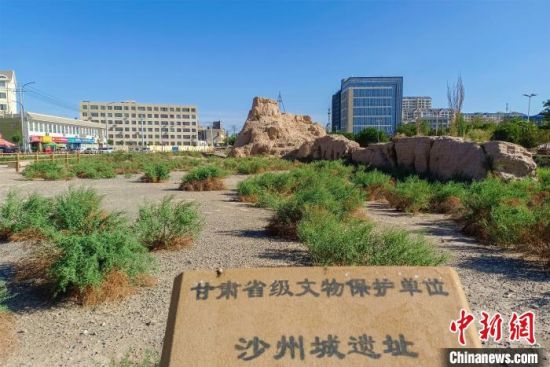 圖為沙州郡城遺址公園古遺址?！⊥醣筱y 攝