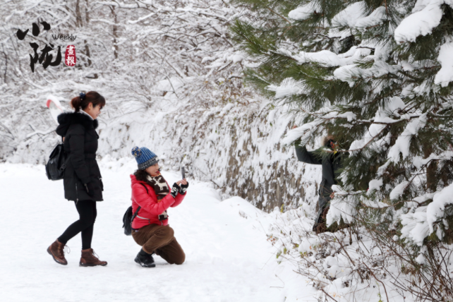 【小隴畫報(bào)·129期】問道崆峒遇風(fēng)雪 青山如黛天地白