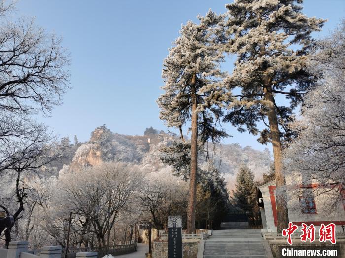 圖為崆峒山霧凇景色美不勝收?！⌒煺袢A 攝