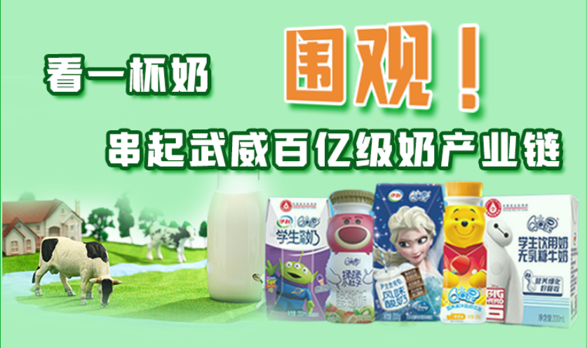 圖解|圍觀！看一杯奶串起武威百億級奶產業鏈