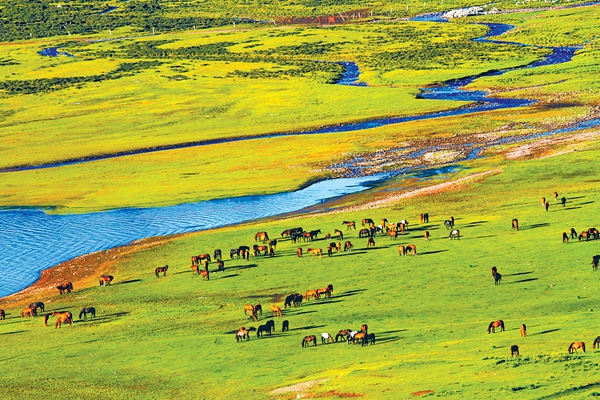 1666222287762182.jpeg 11.jpeg