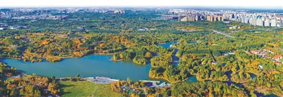 1671148057731456.jpg 4.jpg