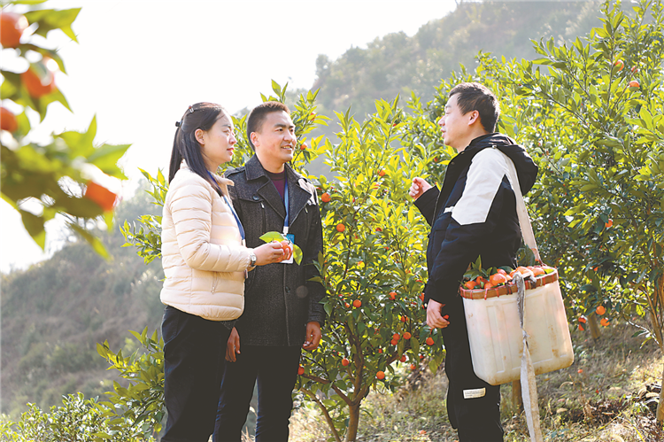 1672702116617677.png 22.png