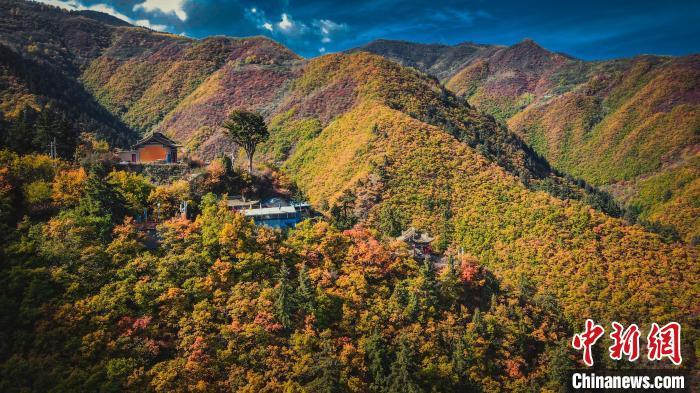 深秋，位于蘭州市榆中縣的興隆山，似打翻調色板。金峯 攝