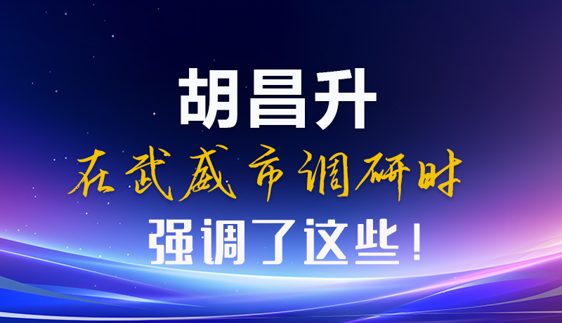 圖解|胡昌升在武威市調研時強調了這些！