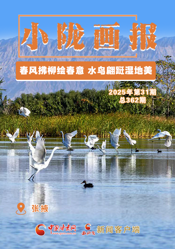 【小隴畫報(bào)·362期】張掖：春風(fēng)拂柳繪春意 水鳥翩躚濕地美