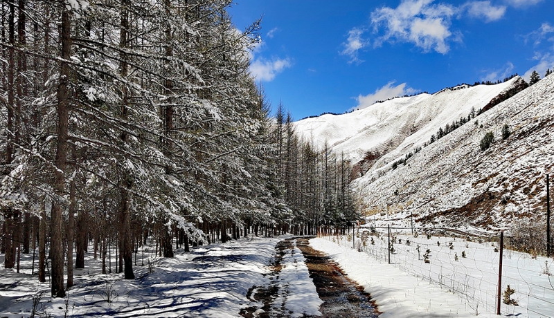隴拍客|祁連雪墨染夏青 靜謐悠遠繪詩畫