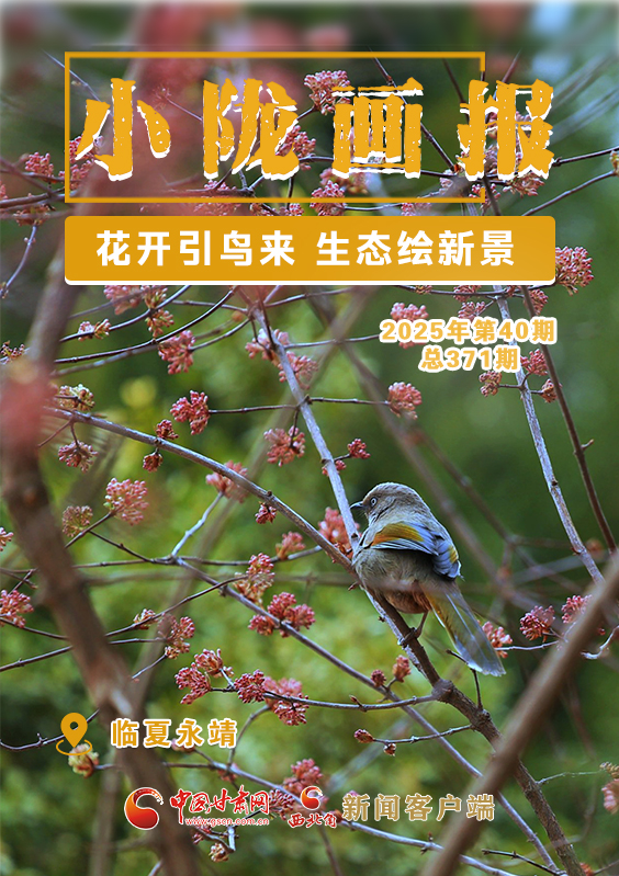 【小隴畫報·371期】永靖：花開引鳥來 生態繪新景