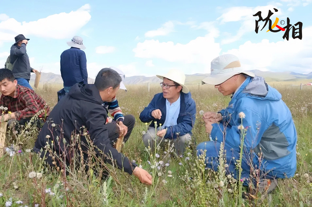 【隴人相206期】胡小文：扎根隴原廿二載 守護鄉土草業路