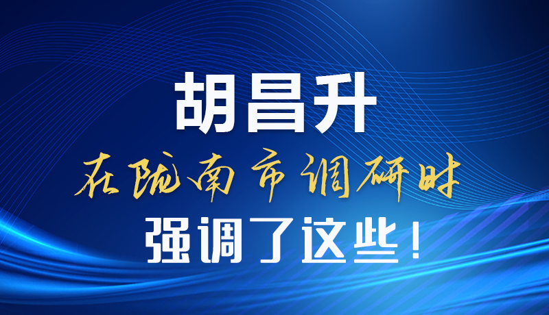 圖解|胡昌升在隴南市調研時強調了這些！