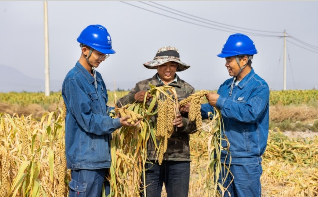 國網張掖供電公司全力護航秋收“好豐景”