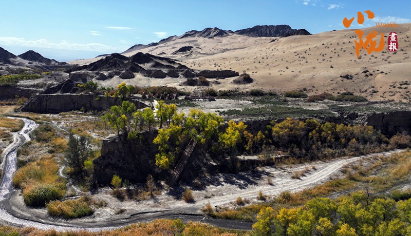 【小隴畫報·412期】阿克塞：沙漠綠洲胡楊峽的絢麗秋色