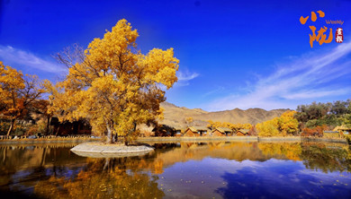 阿克塞：沙漠綠洲胡楊峽的絢麗秋色