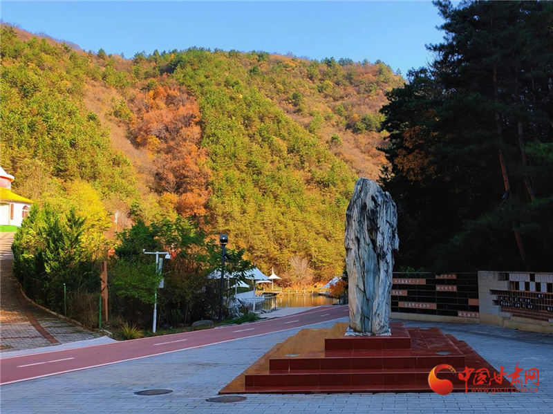 隴原山鄉新畫卷|華亭：一覽米家溝的“風華雪月”