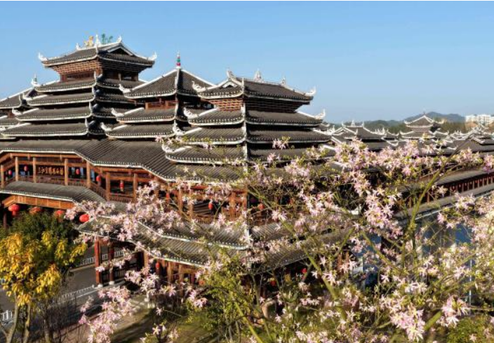 廣西三江侗鄉：花映廊橋美如畫