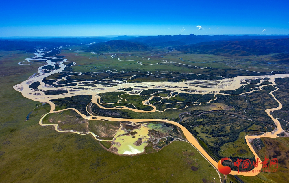 隴拍客丨瑪曲：冬日濕地白鷺翩躚生態美