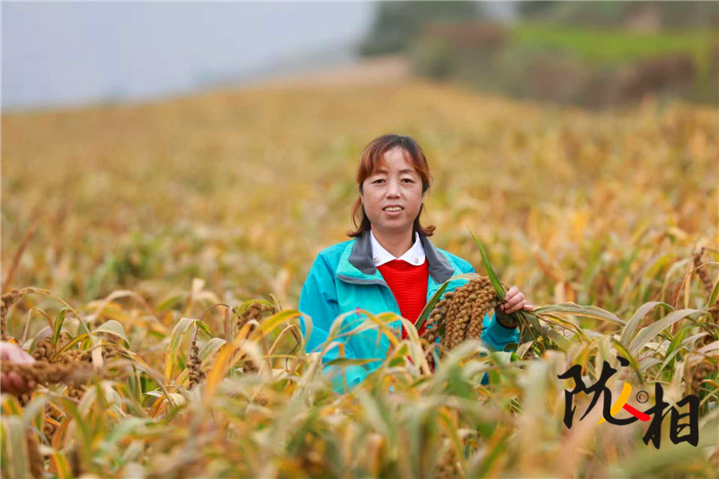 【隴人相214期】人大代表王華:履職心系“土寶貝” 會寧雜糧闖出大市場
